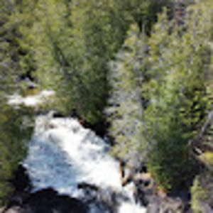 Meet your Posher, Owen